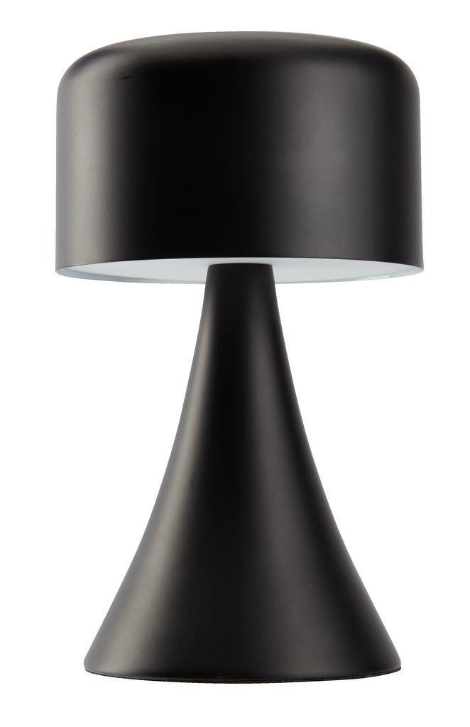 Wrought Studio Lampe de table à pile avec minuterie, lampes de table sans  fil avec ampoule à DEL, lampe de nuit alimentée par pile, petites lampes de  table décoratives pour le salon