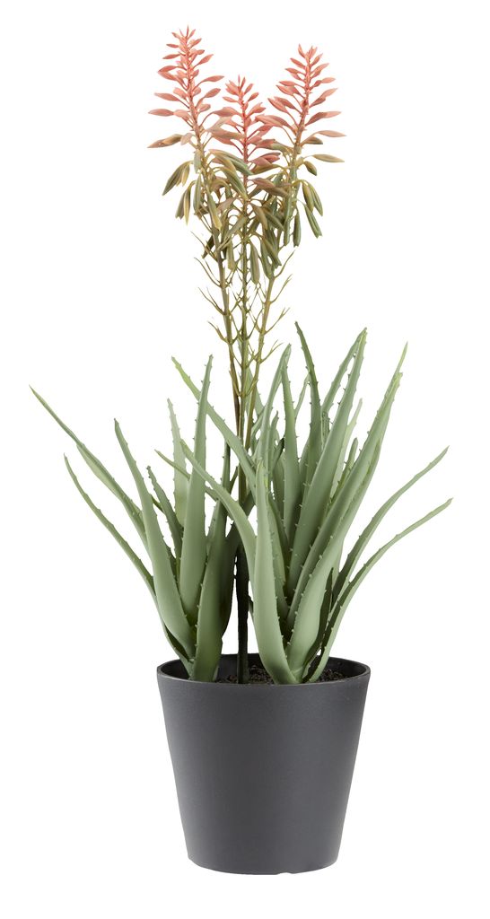 Artificial plant RASMUS H45cm w/flowers JYSK