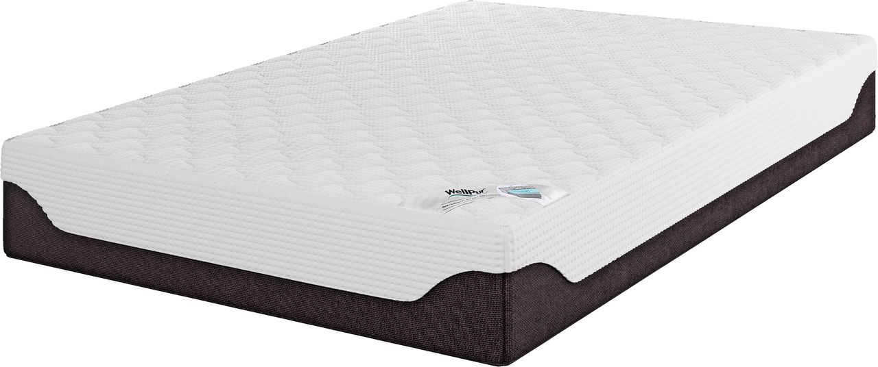 wellpur mattress f110 review