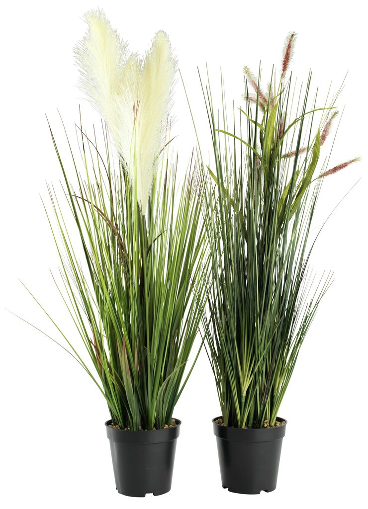 Artificial plant GODSKE D18xH75cm asstd. JYSK