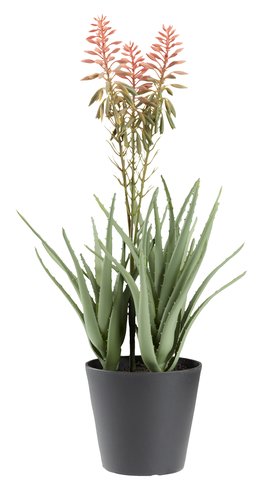 Yapay bitki RASMUS Y45cm çiçekli