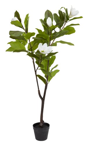 Artificial plant SPINDEL H120cm green/white magnolia