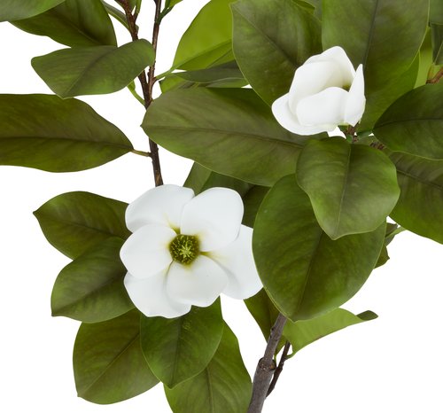 Kunstig plante SPINDEL H120cm grøn/hvid magnolia