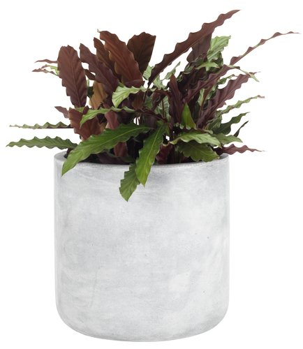 Garden planter FLUGA D33xH32 grey