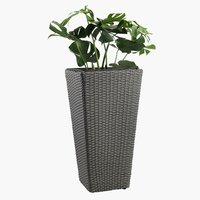 Vaso jardim BLOMMOR L31xC31xA50 cinzento