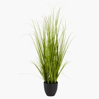 Изкуствено растение MARKUSFLUE В150см трева
