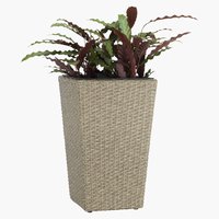 Vaso jardim BLOMMOR L31xC31xA50 natural