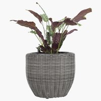 Vaso jardim SVARTBAK Ø42xA36 cinzento