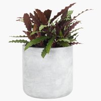 Vaso jardim FLUGA Ø33xA32 sales no.