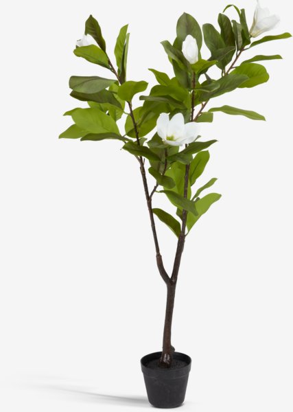 Artificial plant SPINDEL H120cm green/white magnolia