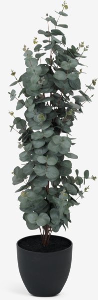 Kunstpflanze RIPA H90 Eucalyptus