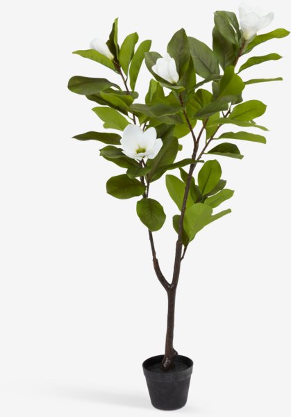 Kunstig plante SPINDEL H120cm grøn/hvid magnolia