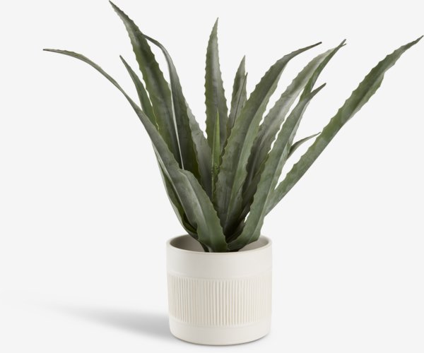 Veštačka biljka CELIUS V65cm aloe vera