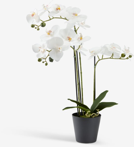 Plante artificielle MATINUS H62cm avec fleurs