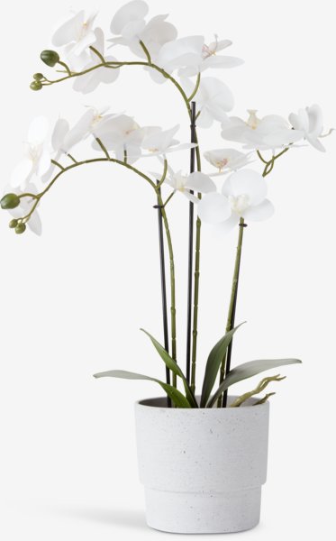 Artificial plant MATINUS H62cm with flowers