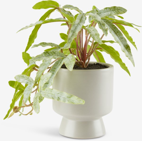 Planta artificial OLSEN Ø9xA20cm con maceta