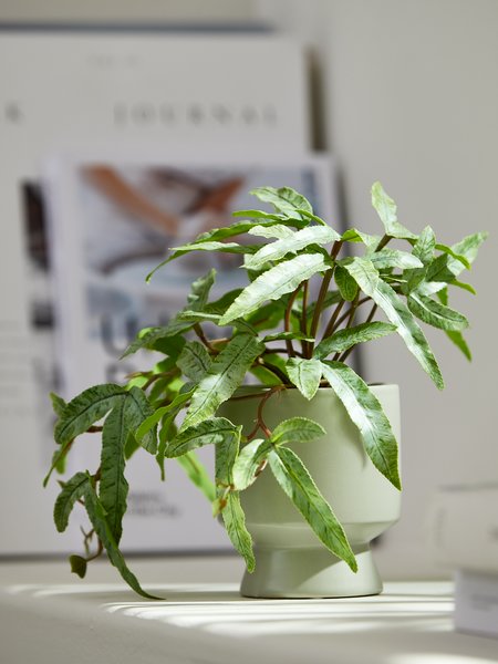 Artificial plant OLSEN D9xH20cm w/pot