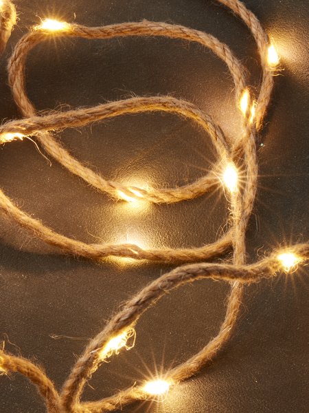 Guirlande lumineuse LED CORNELIUS L230cm a/20 LED