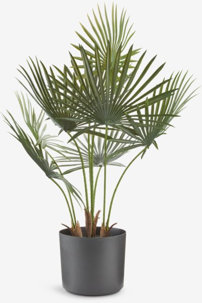 Artificial plant JAKOB W60xL45xH73cm