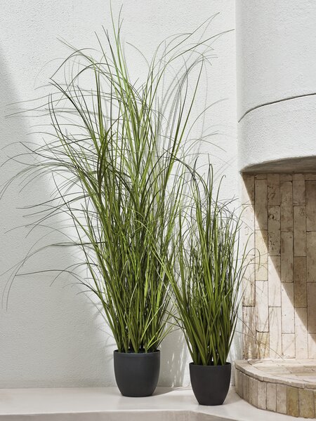 Artificial plant MARKUSFLUE H150cm grass