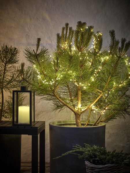 Cluster lights outdoor LASURIT L10m w/300 LED and timer