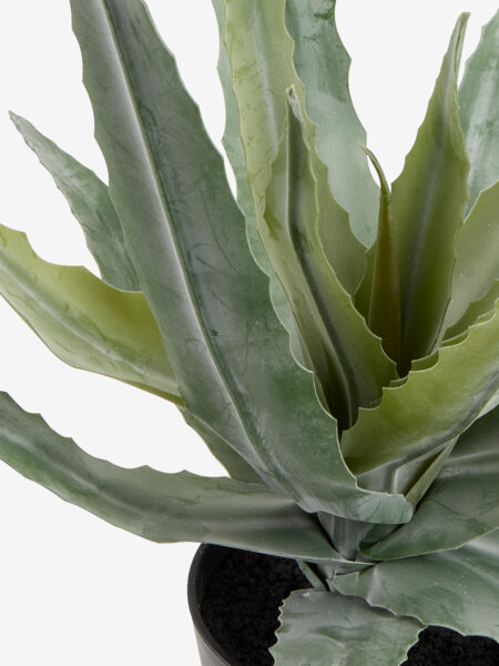 Planta artificial CELIUS A39cm verde