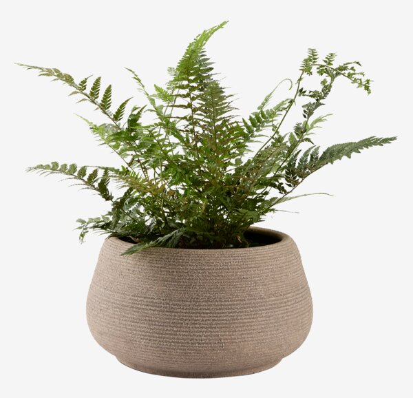 Macetero GRESSHUMLE Ø23xA12 marrón