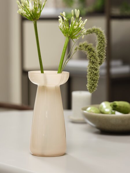 Jarrón VISTI Ø11xA22cm cristal