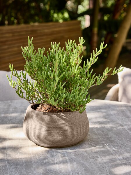 Havekrukke GRESSHUMLE Ø23xH12 brun