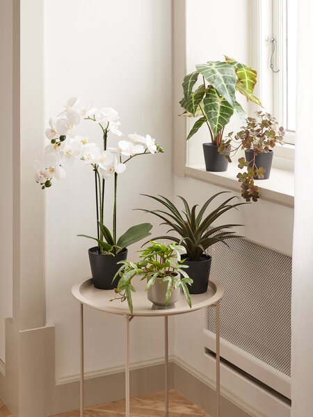 Kunstpflanze MATINUS H62cm weiß Orchidee