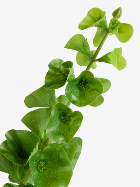 Kunstig blomst CRISTER H60cm grønn