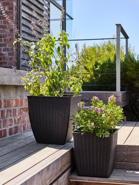 Korpa za cvijeće ISLOM 31x31x32 crna