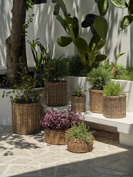 Planter basket SANSEBIE D50/40 kubu natural 2pcs/set