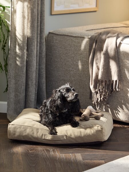 Hundeseng KVARTSIT B65xL80xH13 grønn