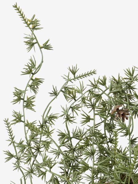 Garland VERDANDE L170cm green w/cones